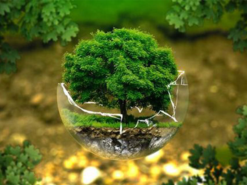 我國大氣環(huán)境管理歷程與展望