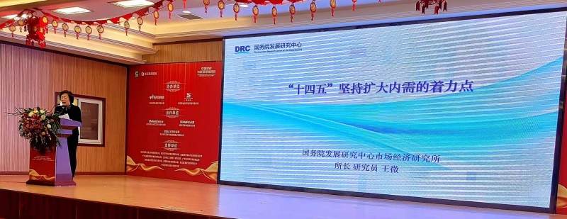 國務院發展研究中心市場經濟研究所王微所長