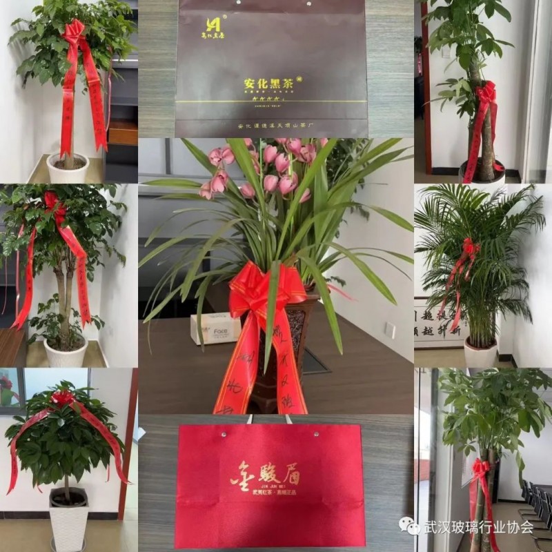 武漢玻璃行業(yè)協(xié)會揭牌